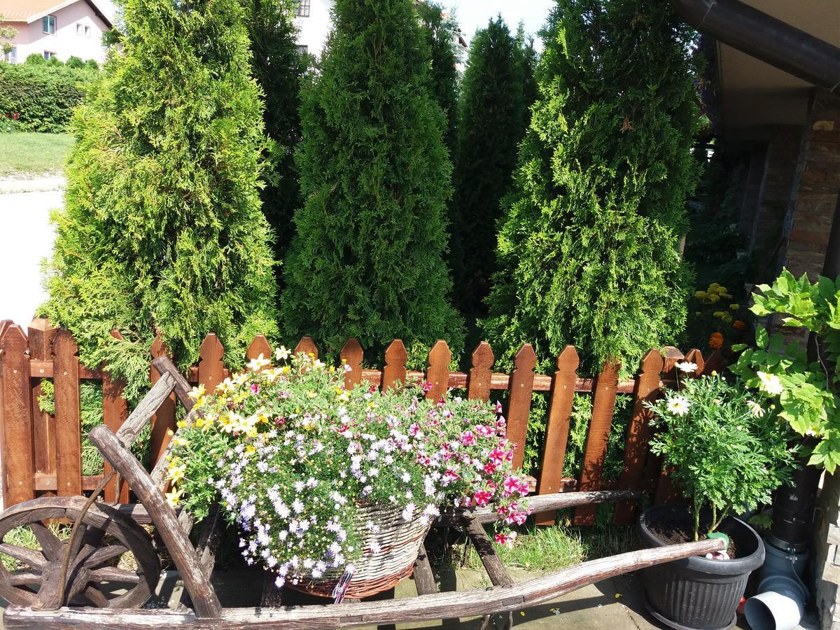 Centar! Masa Zlatibor Apartman Kültér fotó